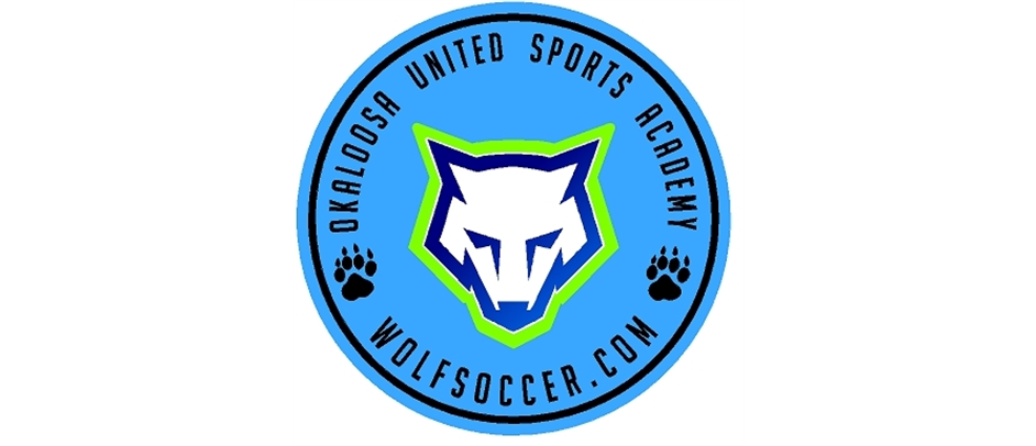 WOLF SOCCER ACADEMY Ages 10-14